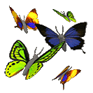 Borboleta (159)