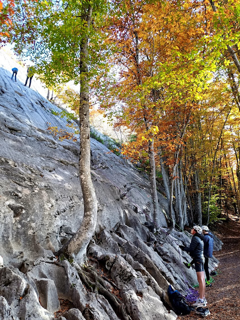 initiation escalade à la Frasse