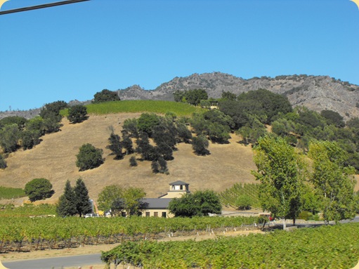 Napa Valley Vineyards 259