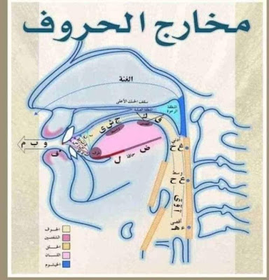 ترتيب الحروف حسب المخارج الأصوات