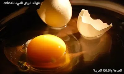 فوائد البيض النيء للعضلات