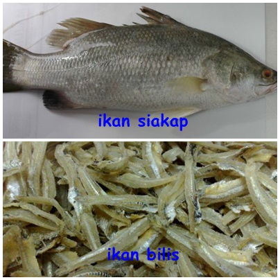 My Story, My Life, My Love ;-): Resepi Masakan Ikan Semasa 