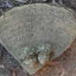 View album