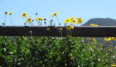 Mission Trails - Worth Multiple Trips