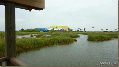 padre island_028