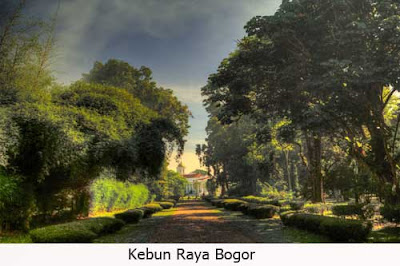 https://FindWisata.blogspot.com | Kebun Raya Bogor