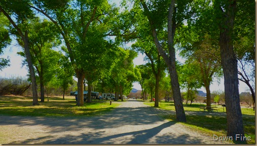 cottonwood campgrd_001