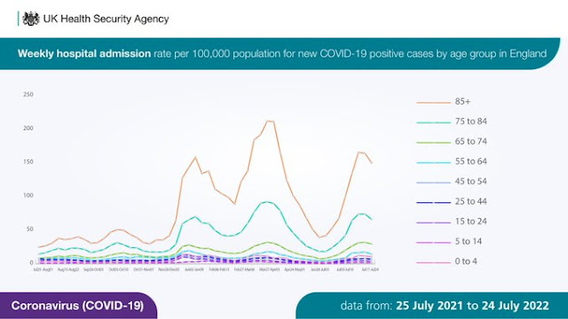 290722 real hospital admissions by age