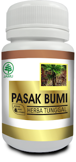 kapsul pasak bumi