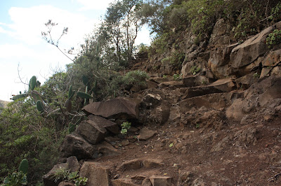 PR-TF-12 BAJAMAR A LA CRUZ DEL CARMEN, sendero en dirección a Cruz del Carmen, sendero paralelo a La Barranquera