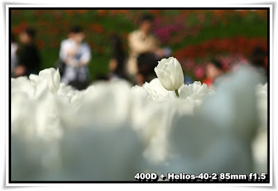 香港花卉展覽2010