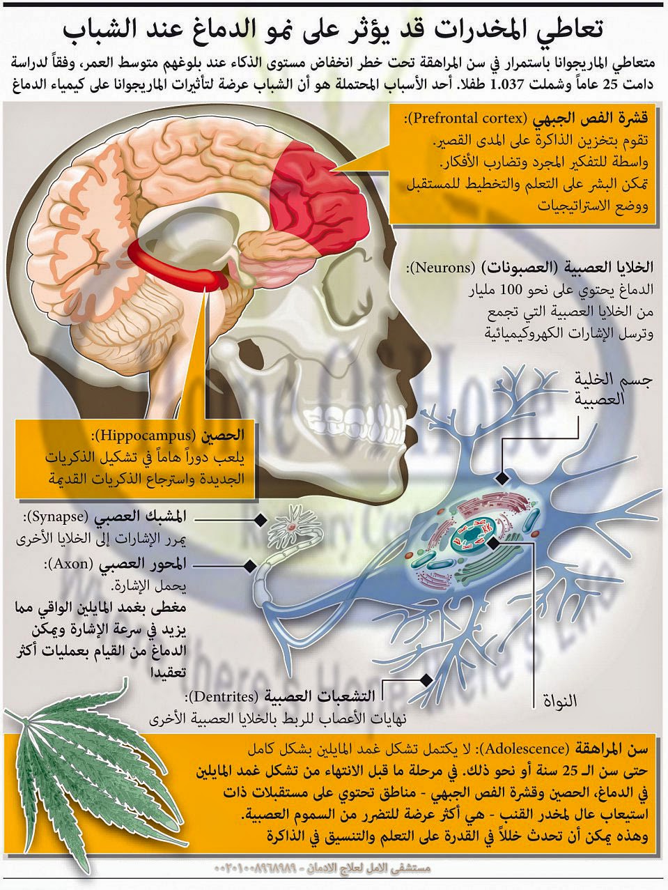 تعاطى المخدرات