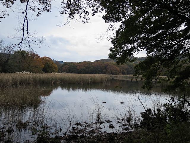 一碧湖, 伊豆の瞳