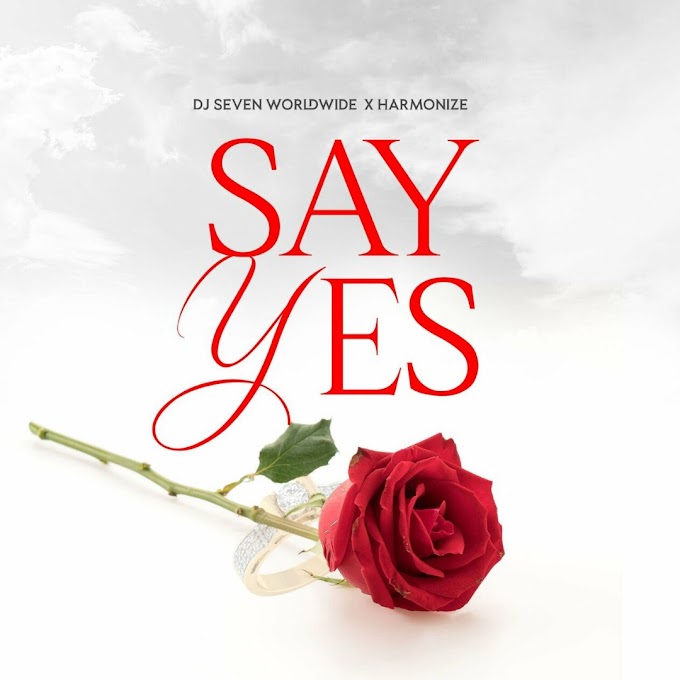 Download Audio : Dj Seven Worldwide Ft Harmonize - Say Yes Mp3