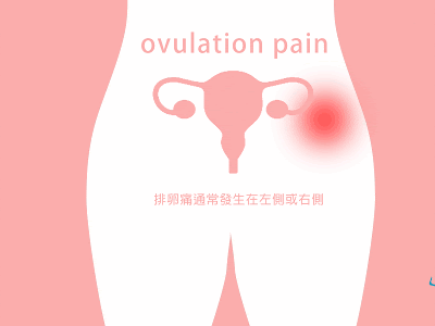 √70以上 排卵痛 激痛 右 349428-排卵痛 激痛 右腰