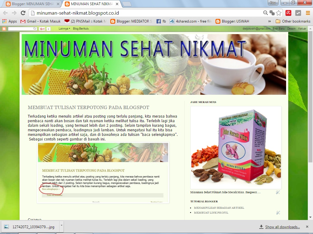 Minuman Sehat Nikmat Memasang Iklan Di Blog Agar Tampil Terus