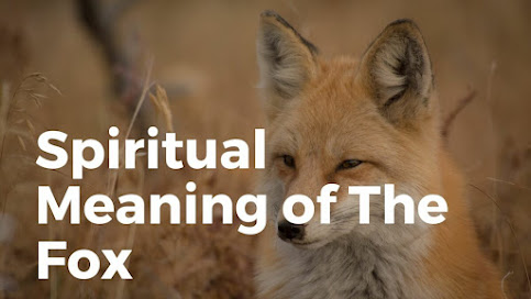 spiritual meaning of a fox