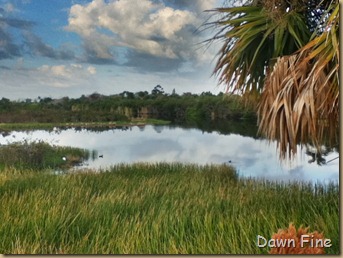 pond1