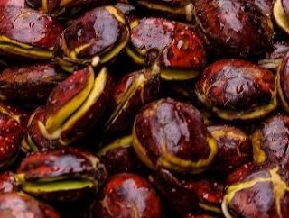 Cara Memasak Jengkol Supaya Tidak Berbau