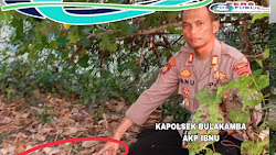 BREBES DI TEMUKAN OROK DI TEPI SUNGAI DI DESA PAKIJANGAN DALAM KEADAAN SUDAH MEMBUSUK.