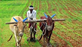 किसानों तक नहीं पहुंच रहा कृषि योजना का पूरा लाभ