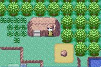 Pokemon Emerald Renewal Screenshot 02