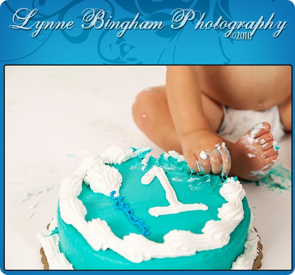 cake12