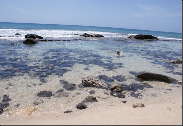 Kaena Beach 014