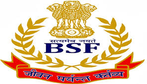 Border Security Force (BSF) Recruitment 2019 - Head Constable (1,072 Posts)