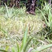 View album