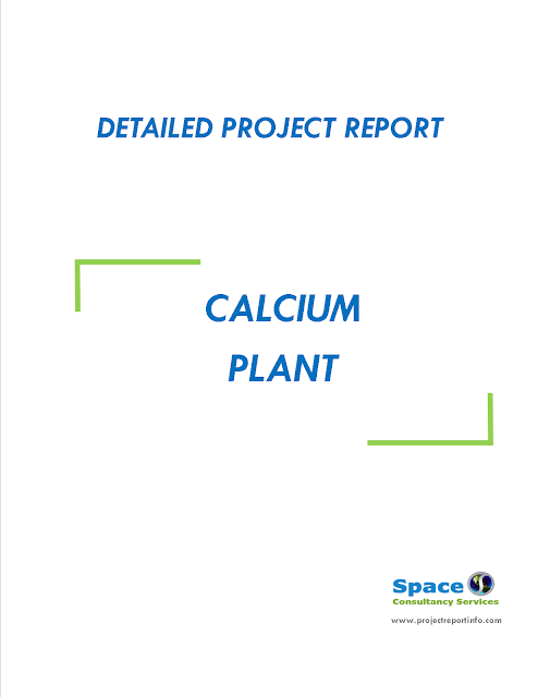 Project Report on Calcium Plant