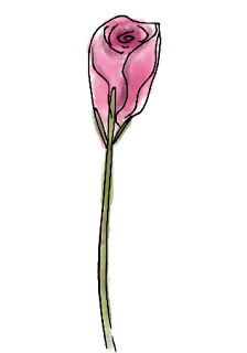 Free pink rosebud png clip art image in pen and wash