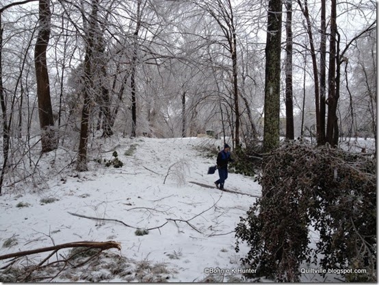 IceStorm_March2014 005