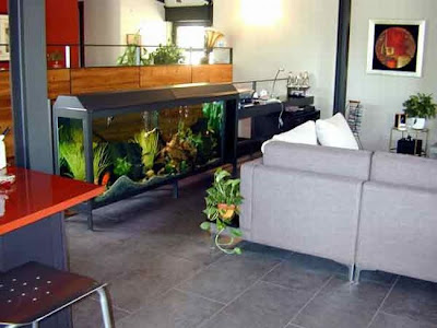 fish aquarium design