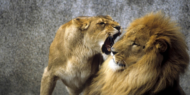 The 5 signs that show intense aggression