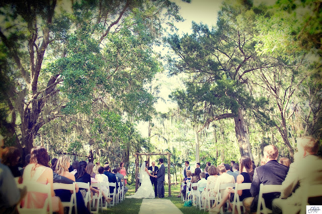 Wedding photography at Leu Gardens