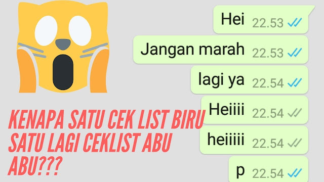 Cara Mengetahui Chat Whatsapp Kamu sudah Dihapus