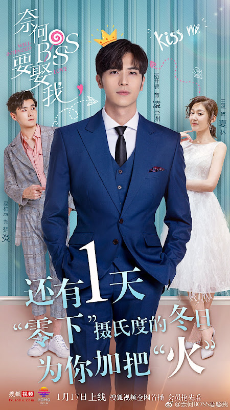 Well Intended Love China Web Drama