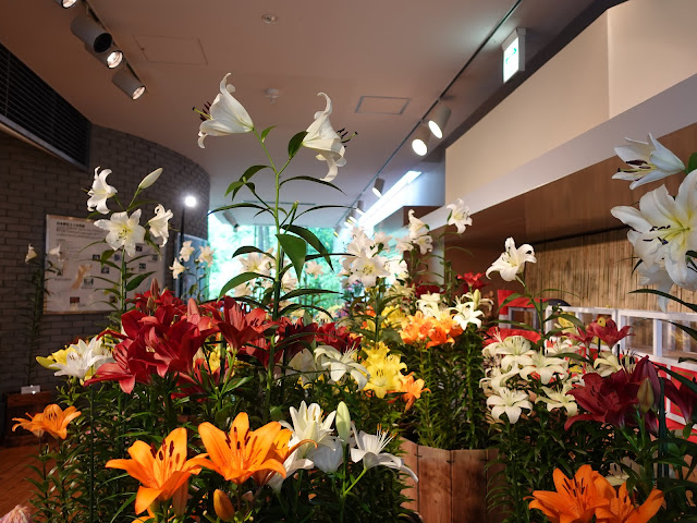 鳥取県西伯郡南部町鶴田　とっとり花回廊　ゆりの館