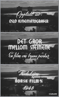 Det gror mellom steinene. 1949.