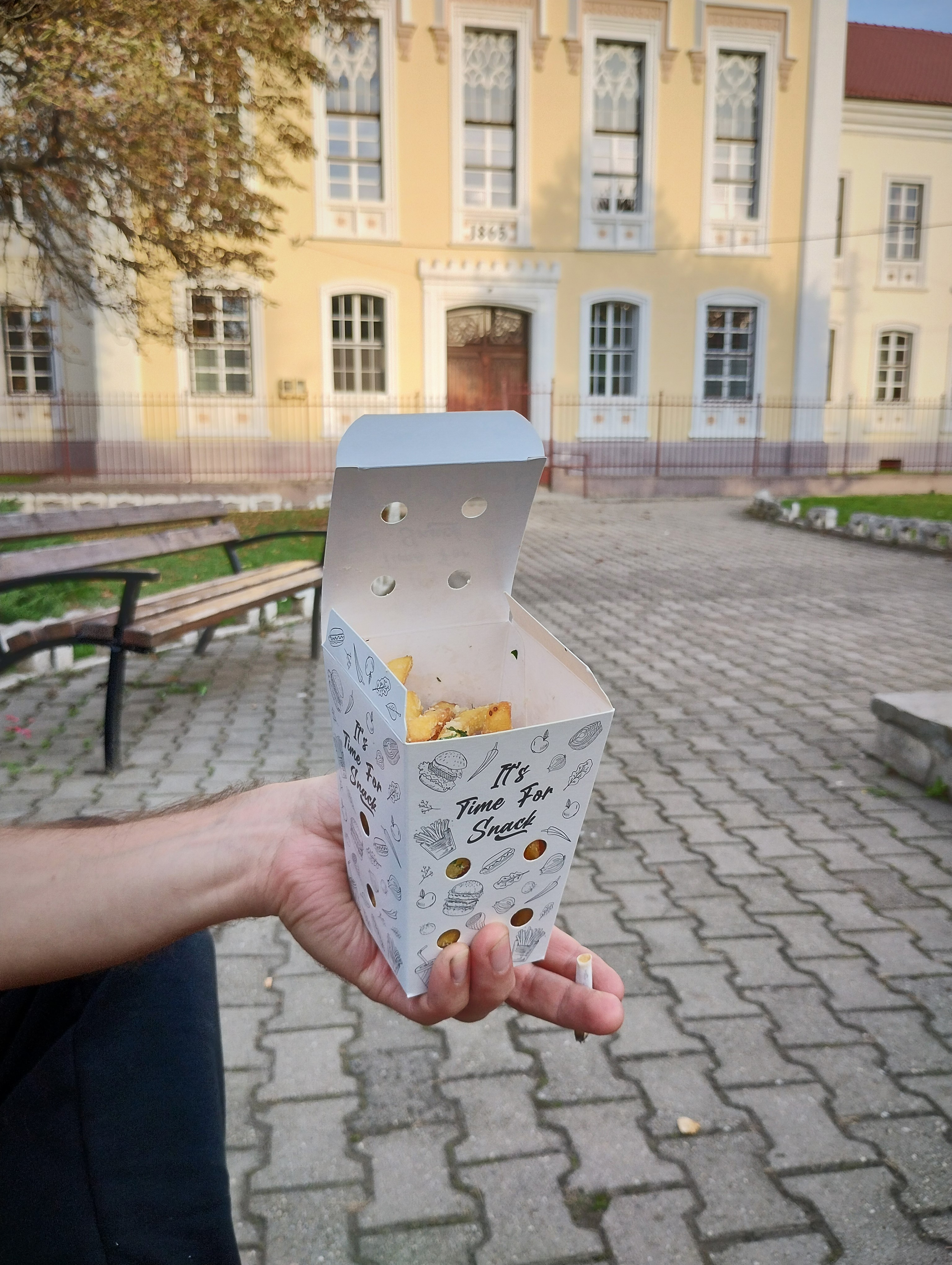 The French fries at Unic Burger, Sebes, Romania