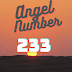 Angel Number 233: Embrace New Beginnings, Love's Promise, and Positive Outlook