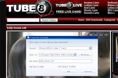 Nah salah satunya adalah tube8 website yang dapat diakses di wwwtube8com