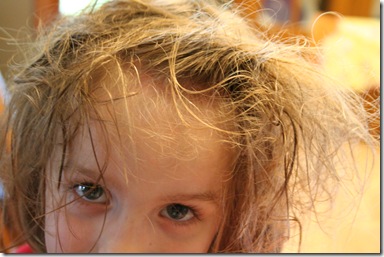 BadHairDay-3