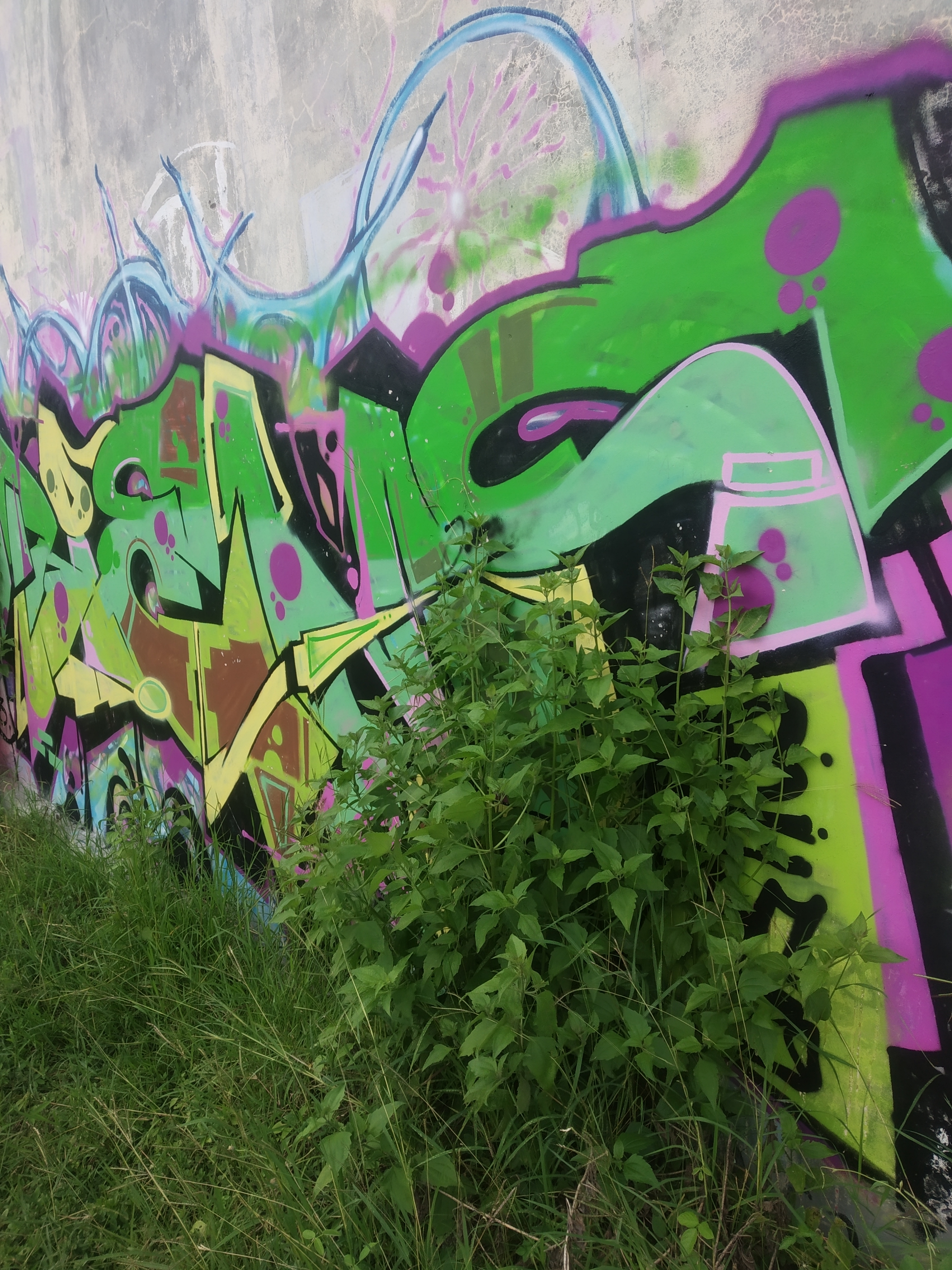 Graffiti tembok 