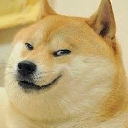 13年に大流行のミーム Doge とは 英語ネットスラング辞典 13年に大流行のミーム Doge とは 英語ネットスラング辞典