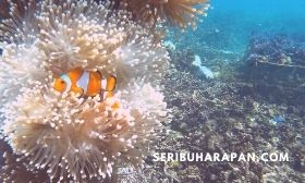 dermaga perahu pulau bira besar