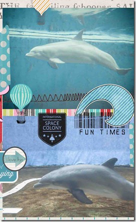 dolphins_foto
