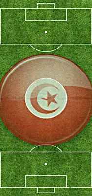 خلفيات منتخب تونس Tunisie للموبايل/للجوال روعه   صور وخلفيات المنتخب التونسي Tunisie روعة بجودة عالية HD للموبايل