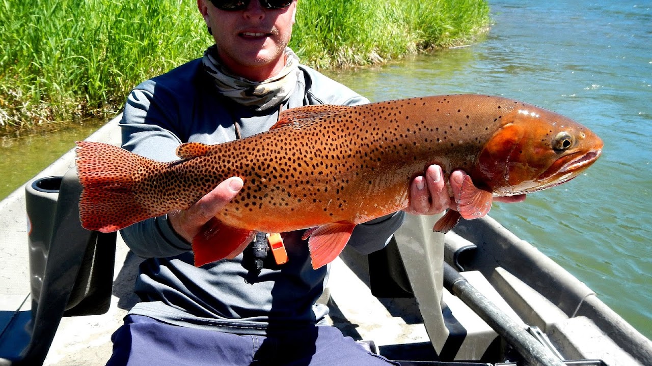 South Fork Snake River Fishing Report
